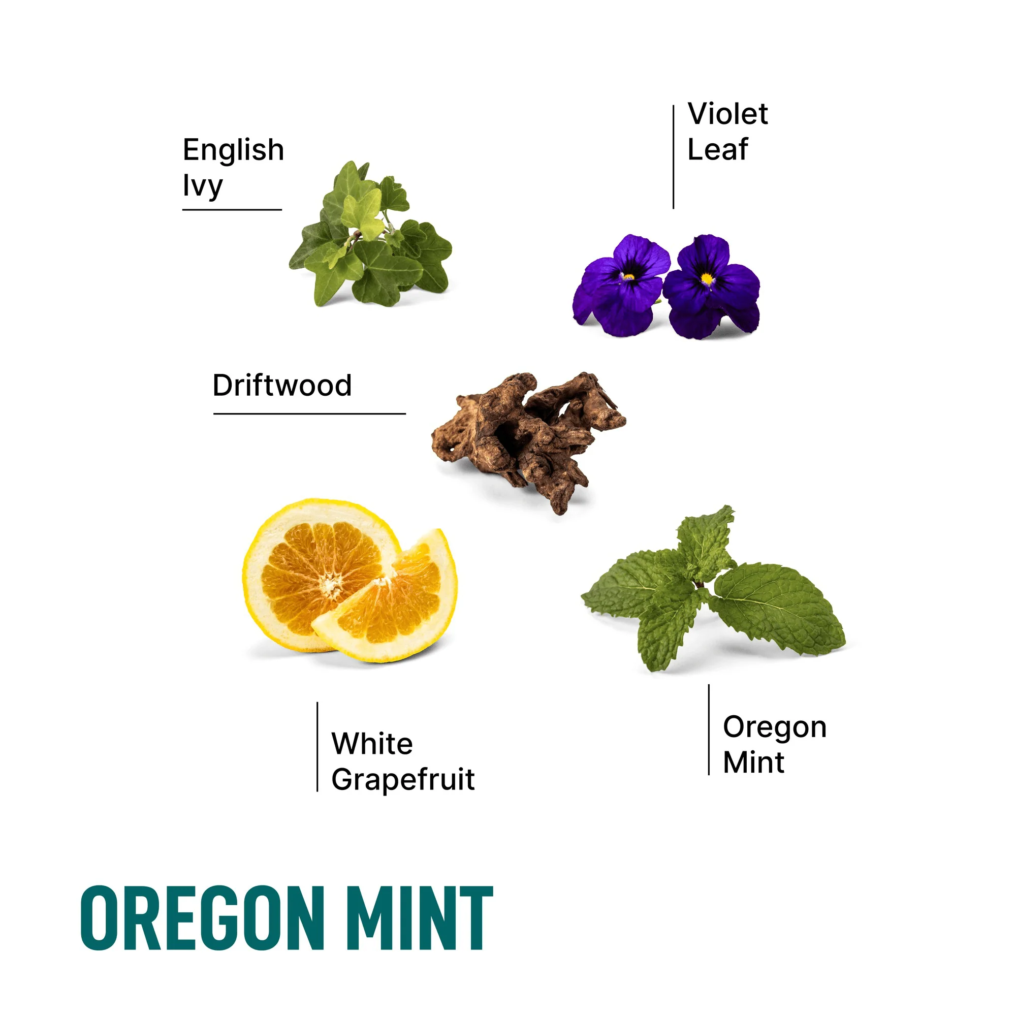 Laundry Detergent Pods - Image 26